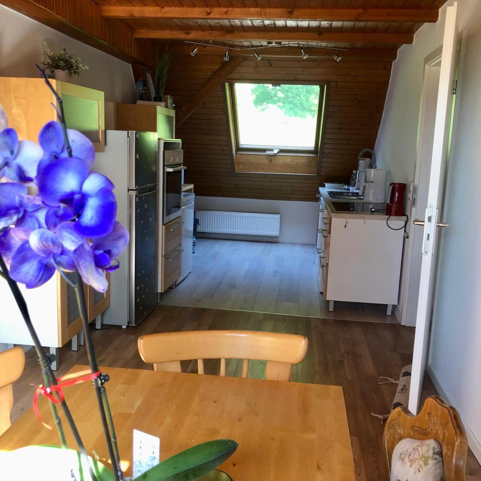 Ferien Im Schwarzwald Freiamt Hotel Bagian luar foto