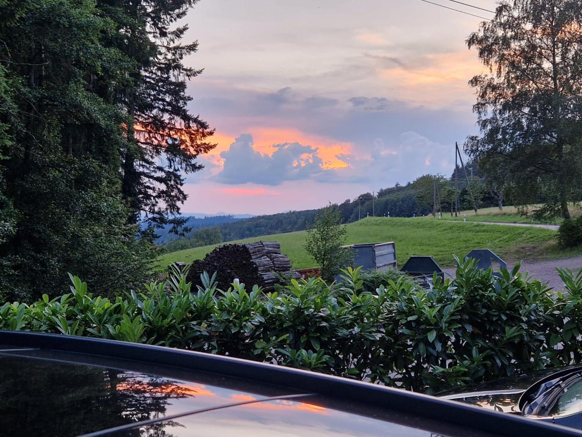Ferien Im Schwarzwald Freiamt Hotel Bagian luar foto