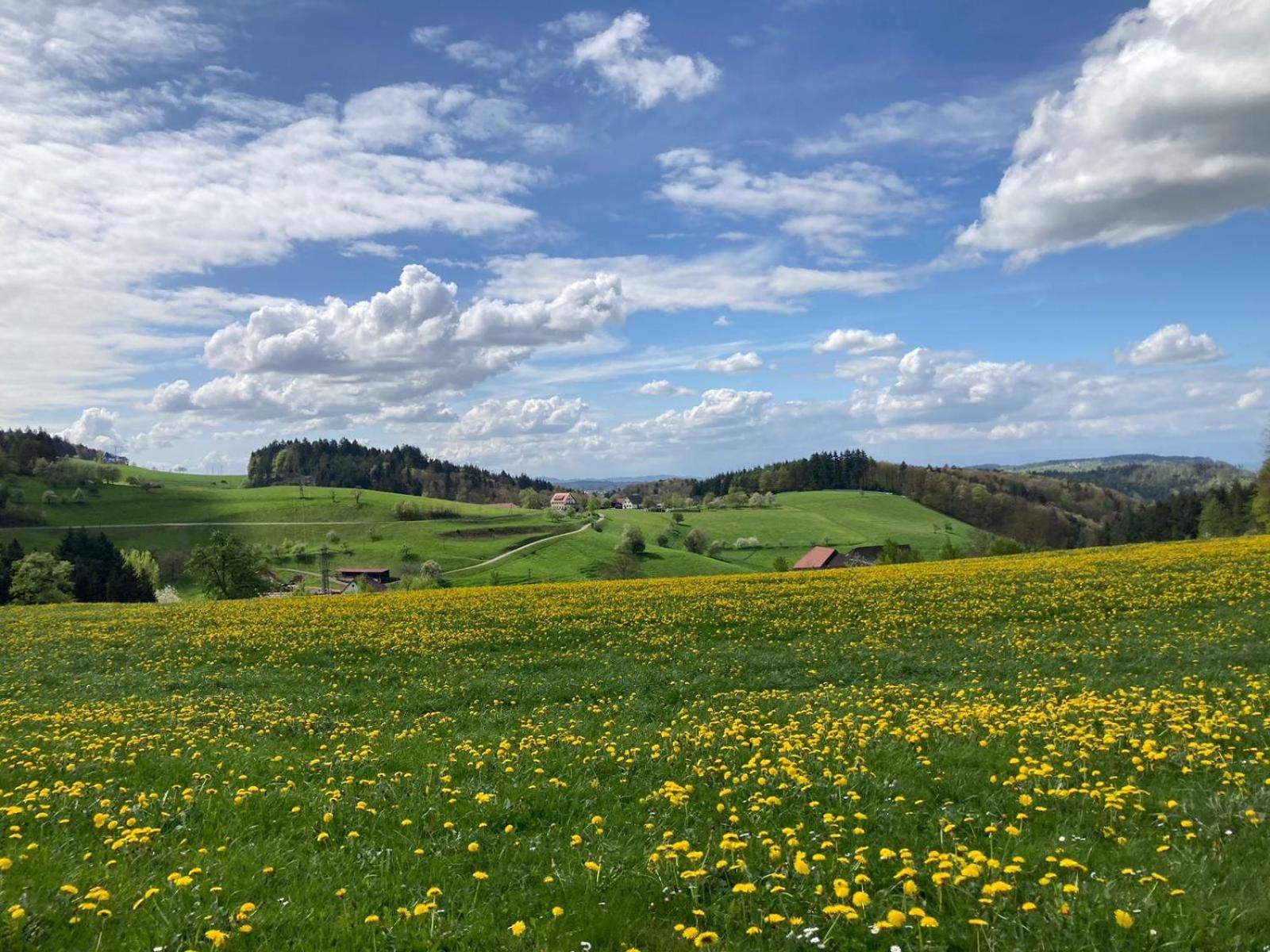 Ferien Im Schwarzwald Freiamt Hotel Bagian luar foto