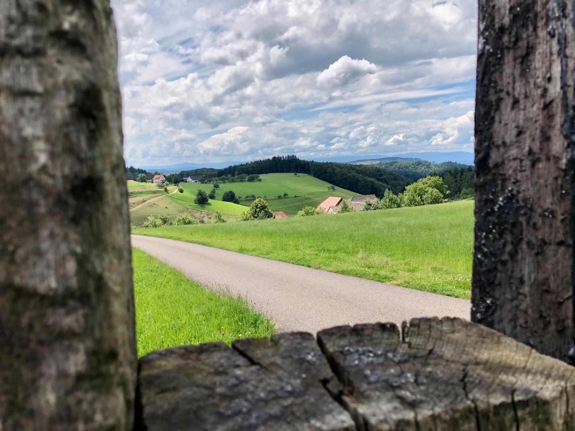 Ferien Im Schwarzwald Freiamt Hotel Bagian luar foto