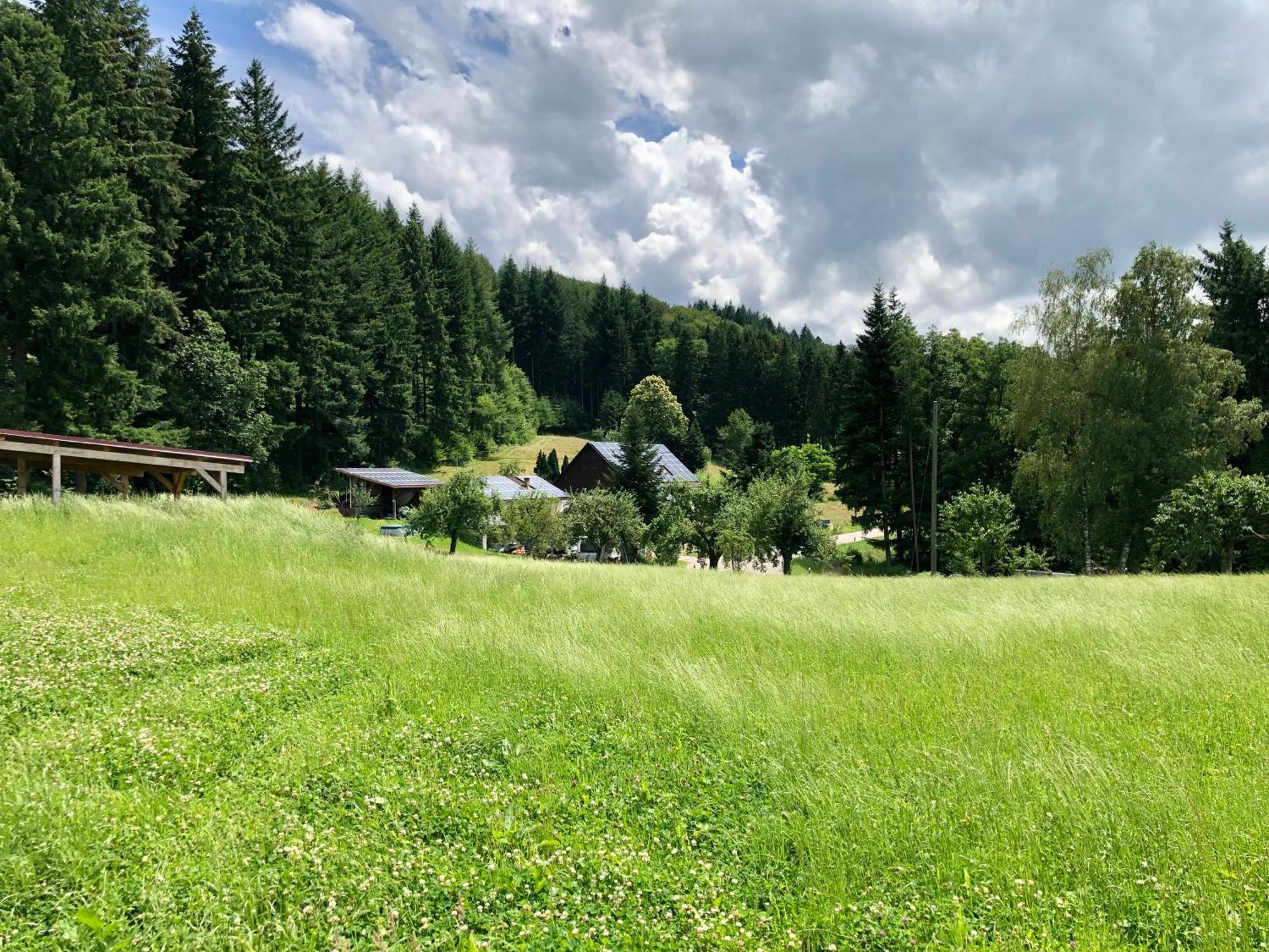 Ferien Im Schwarzwald Freiamt Hotel Bagian luar foto