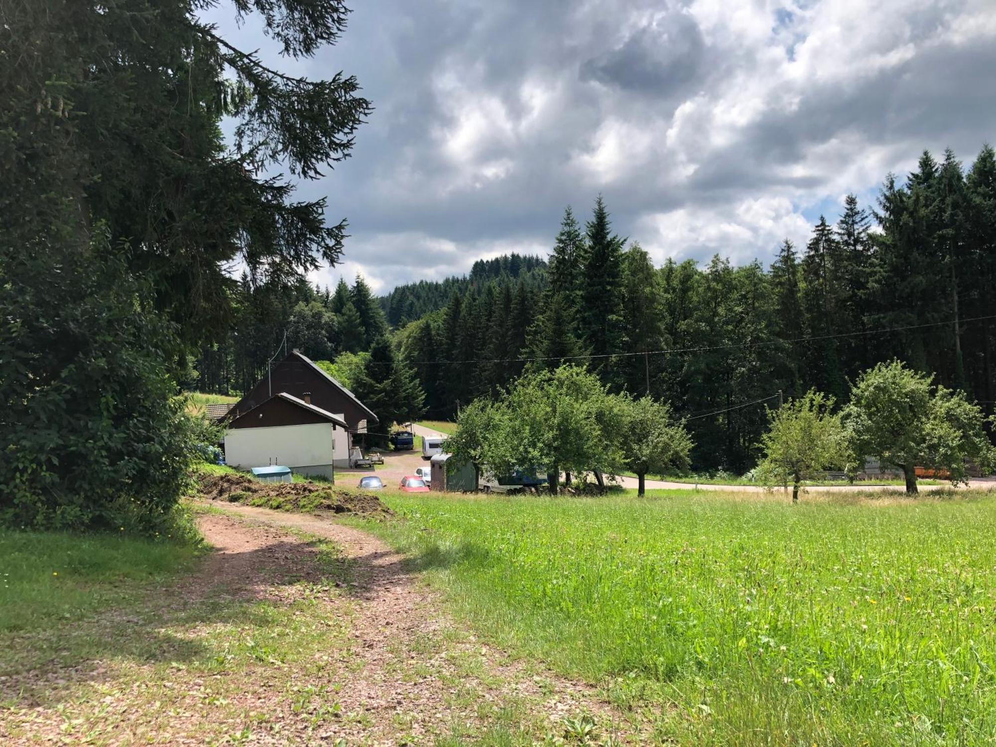 Ferien Im Schwarzwald Freiamt Hotel Bagian luar foto