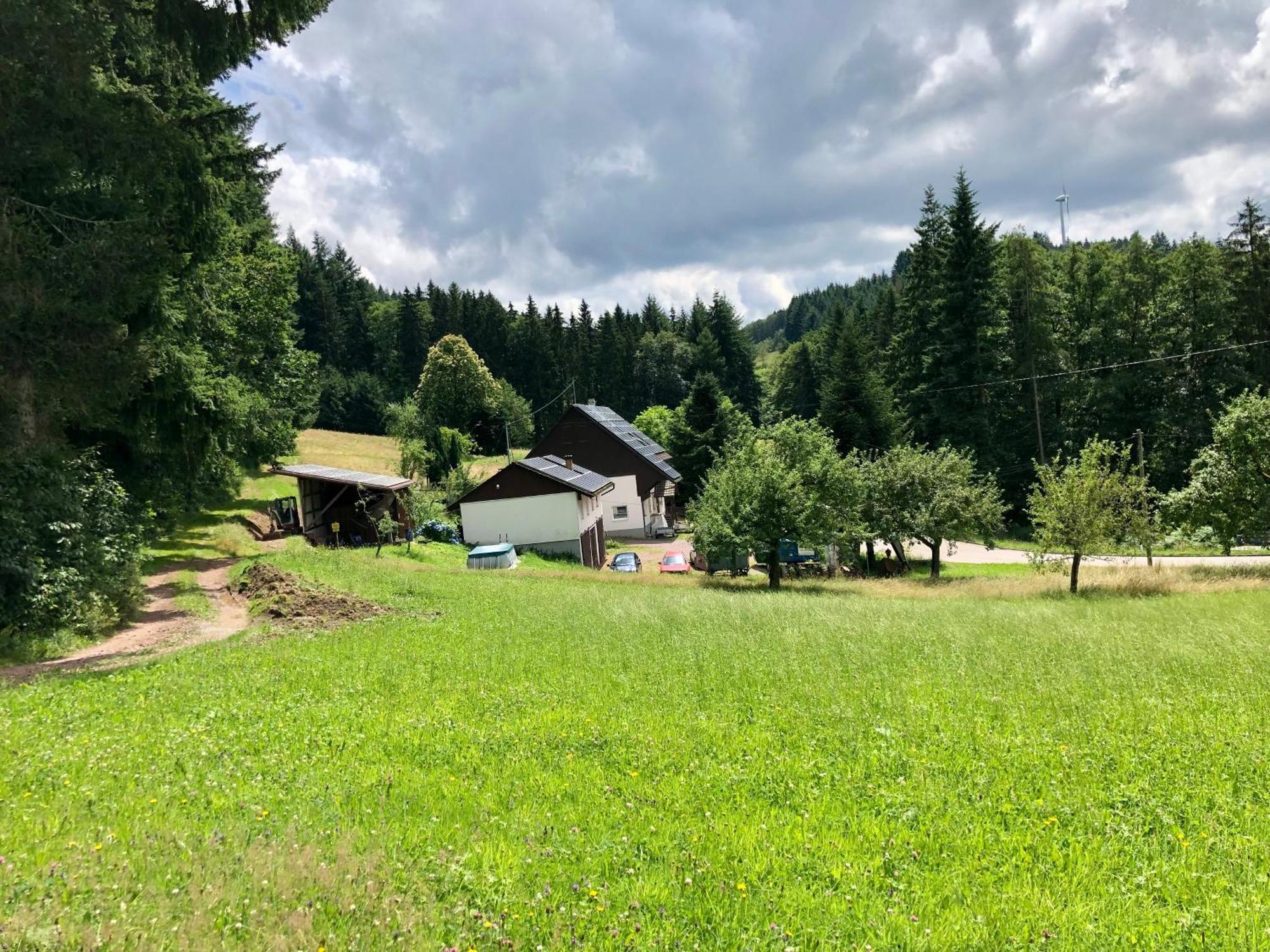 Ferien Im Schwarzwald Freiamt Hotel Bagian luar foto