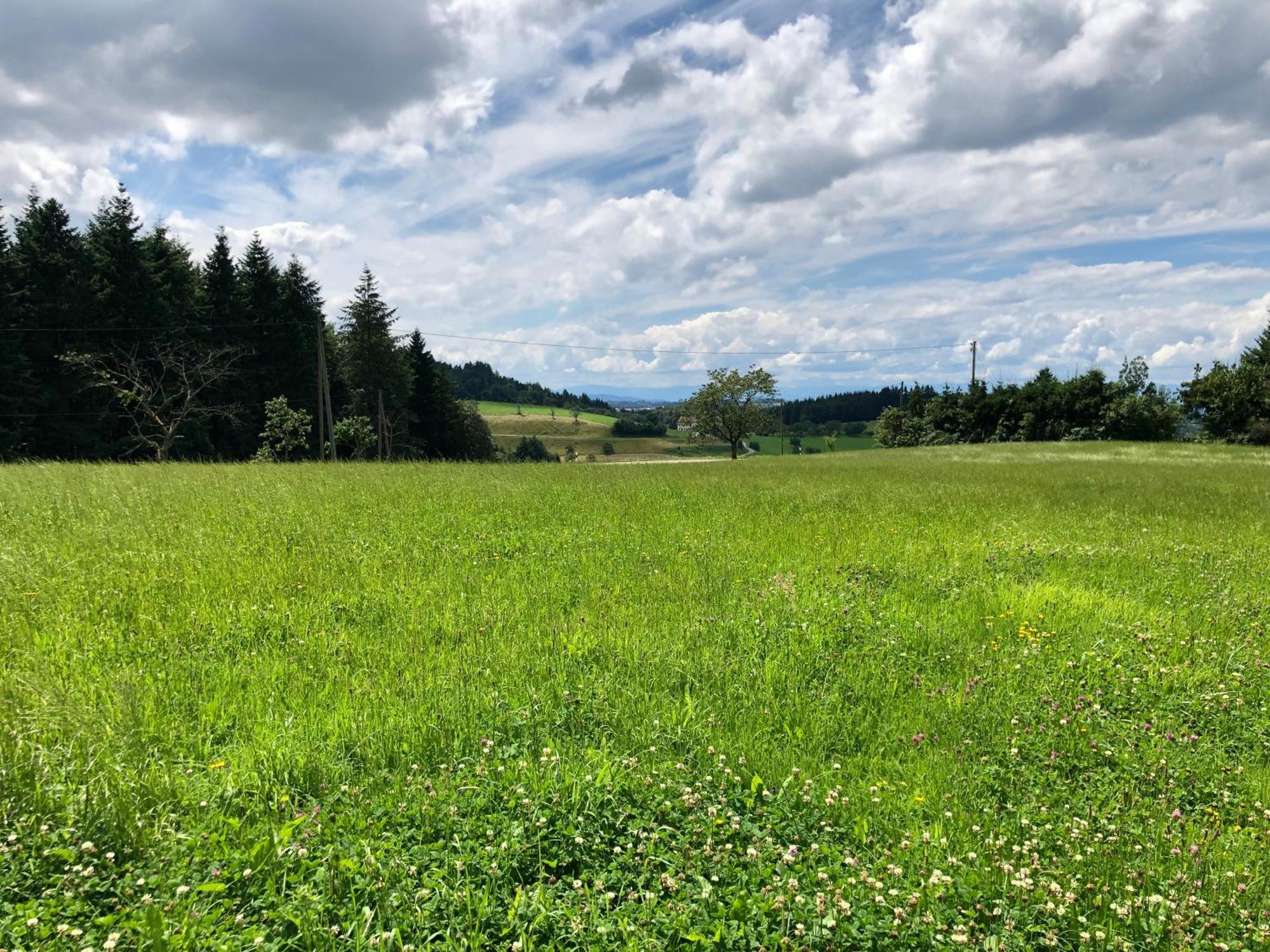 Ferien Im Schwarzwald Freiamt Hotel Bagian luar foto