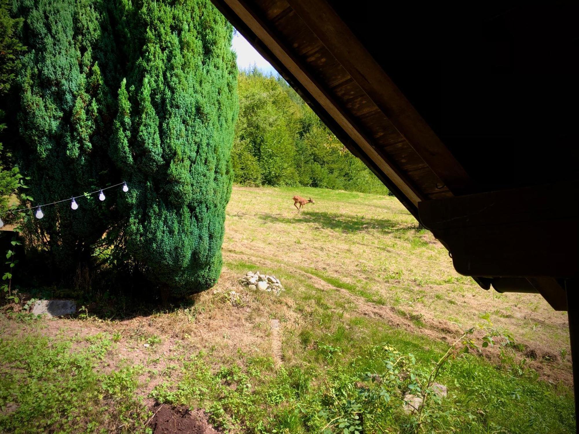 Ferien Im Schwarzwald Freiamt Hotel Bagian luar foto